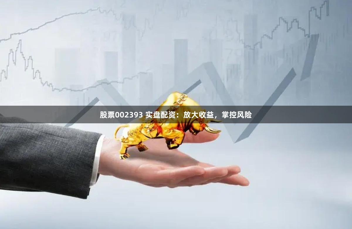 股票002393 实盘配资：放大收益，掌控风险