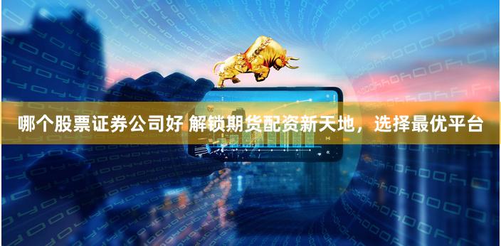 哪个股票证券公司好 解锁期货配资新天地,选择最优平台